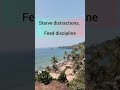 Discipline....