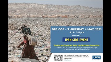 Plastics and Chemicals Under the Stockholm Convention | BRS COPs 2023 Side Event