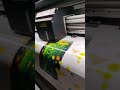 HQ Flex/Wallpaper Printing l IDEAL ARTS