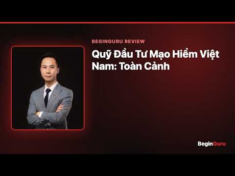 Quỹ Đầu Tư Mạo Hiểm Việt Nam: Toàn Cảnh
