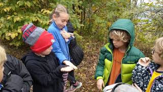 Bbbbs Bird Release