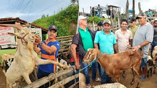 FEIRA DE ANIMAIS, SÍTIO CAMARADA, CUMARU - PE | 31/05/2026