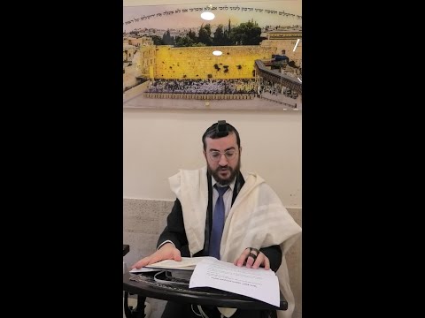 פתיחה חלק ג' | מניין י"ז לאוין - חומרת הגורם לפגם משפחה | איסור לא תונו איש את עמיתו