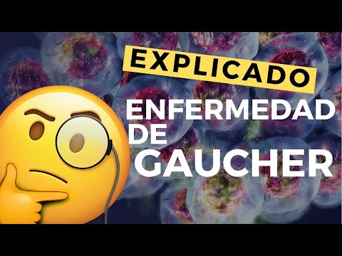 Enfermedad de GAUCHER - Definición, genética, manifestaciones, fisiopatología, tratamiento