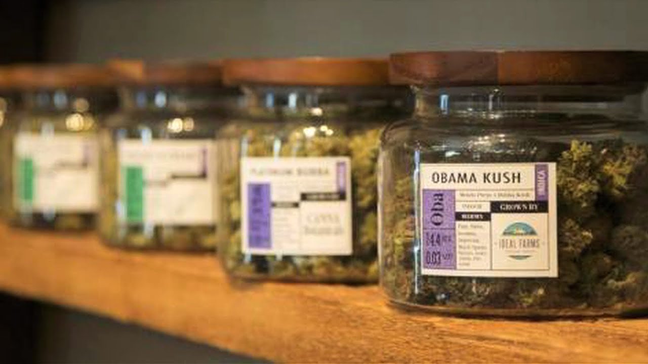 Colorado's First Black Woman Pot Entrepreneur on Edibles, Incarceration & the Industry's Whiteness