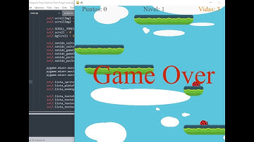 Juego tipo plataformas Pulga | pygame | Parte 1