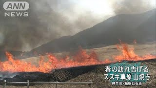 春の訪れ告げる炎　箱根仙石原で山焼き(18/03/15)