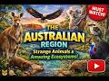 🦘 The Australian Region: Strange Animals &amp; Amazing Ecosystems!