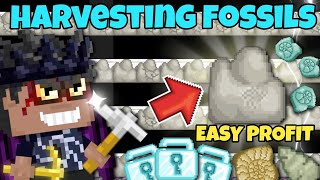 HOW TO PROFIT WITH FOSSILS! (Harvesting Fossils) | Growtopia 