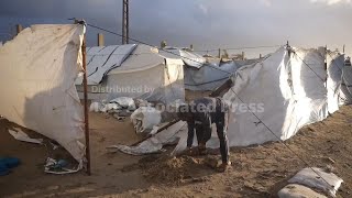 Cold Winter Winds Compound Misery Of Displaced Palestinians Living In Tents In Gaza