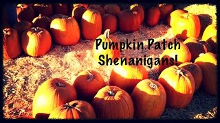 Pumpkin Patch Shenanigans! 2014 Vlog Day 301 (October 28th, 2014)