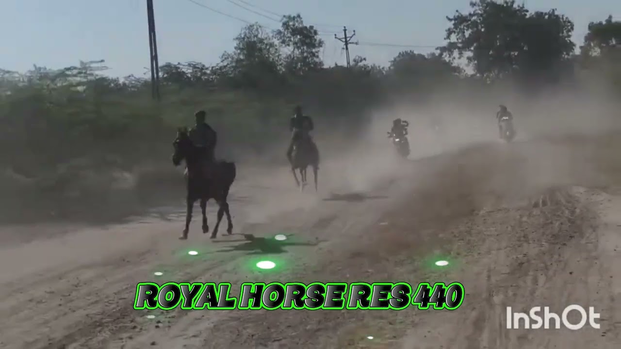 Mastan vs 31 mastan 1