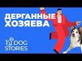 Дерганные хозяева — дерганые собаки  🐕 Как воспитывать гиперактивного щенка 🐩 Перевозбуждение 🐾