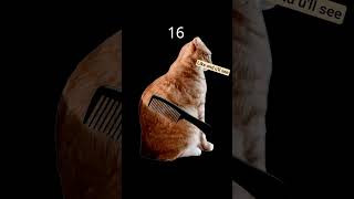 Cat:like and u'll see, trust me