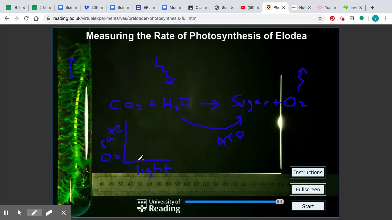 IA - Analysis Raw Data