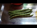 Segredo de deixar a vagem verde
