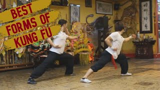 TOP 5 KUNG FU STYLES & THEIR SIGNATURE FORMS screenshot 1
