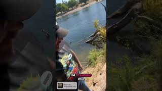 The Kern &amp; Sutter Massacre at Mill Creek (1847)