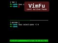 VimFu — Last Active Pane