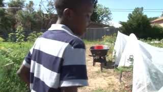 Farm Camp Teaches Students About Food, Agriculture Denver Public Schools