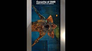 como tal el smr