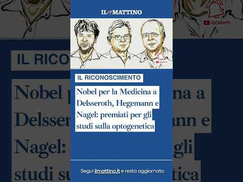 Video Nobel per la Medicina a Delsseroth, Hegemann e Nagel: premiati per gli studi sulla optogenetica