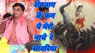 शेषनाग के फन पै मेरो नाचे रे कन्हिया//vishesh shastri