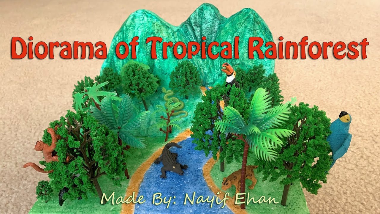 Model of Tropical Rainforest - Diorama in Shoebox - YouTube