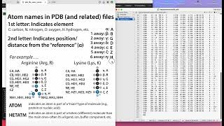 Basic nomenclature of atom identifiers for proteins in PDB (and related) files
