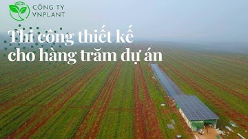 Cty VNPLANT Chuyên Tư Vấn Lắp Đặt Hệ Thống Tưới Cây