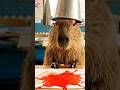 Capi no torneio da escolaa #capivara #capivaras