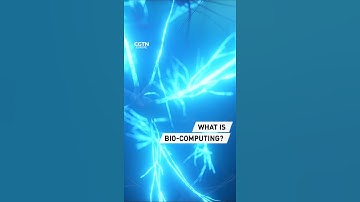 What is bio-computing?