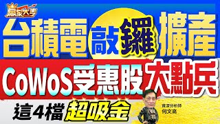 20230728【贏家大亨】台積電敲鑼擴產 CoWoS受惠股大點兵 這4檔超吸金｜何文高