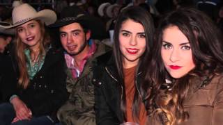 La feria de Arandas Danger