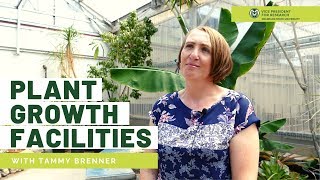 An Inside Look at CSU's Plant Growth Facilities