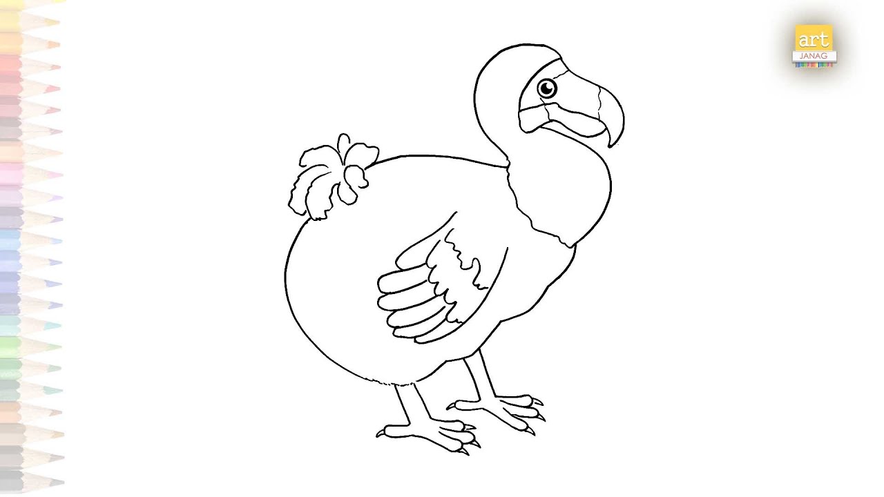 Dodo bird outline drawing | Flightless birds drawings | How to draw A Dodo simply step by step