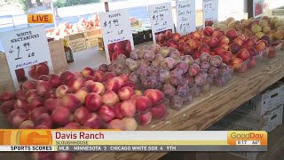Davis Ranch