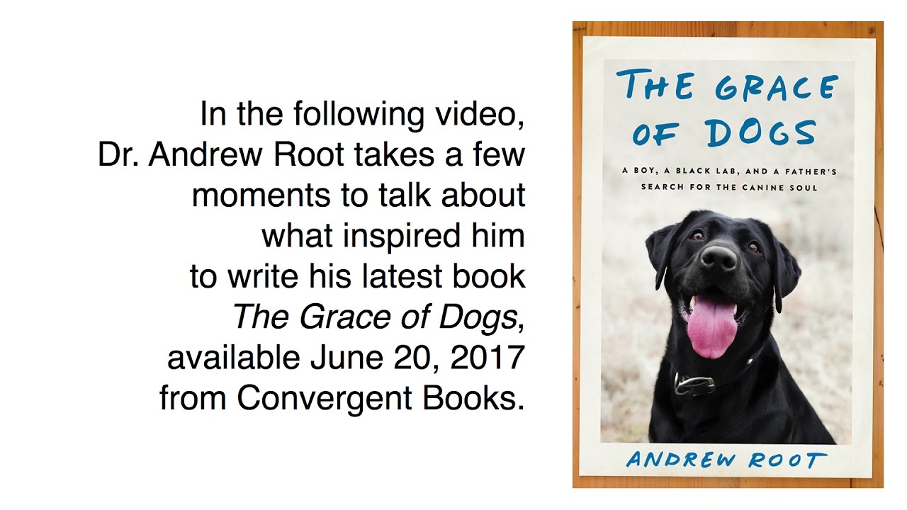 An Introduction to "The Grace of Dogs" YouTube