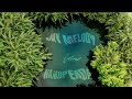 Jay Melody Nakupenda Official Video Mp4 By Marcopaul Jay Melody Nakupenda Official Video Mp4 By Marcopaul