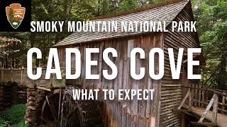 Smoky Mountain National Park  Cades Cove  Tennessee