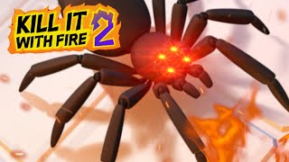 Jumping Spider Nightmare | Kill It With Fire - Part 2