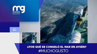 #muchogusto / ¿Por qué se congeló el mar en Aysén?