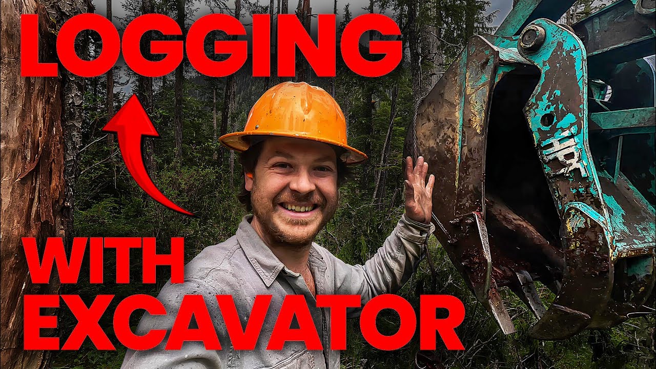 Logging Yellow Cedar with My Excavator - and My DAD! - YouTube