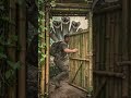 #Five#HeadsInTheGreenShadows#JungleSurvival