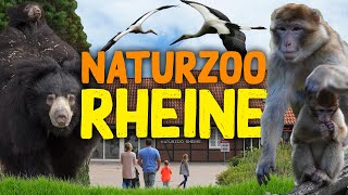 NaturZoo Rheine | Zoo-Eindruck