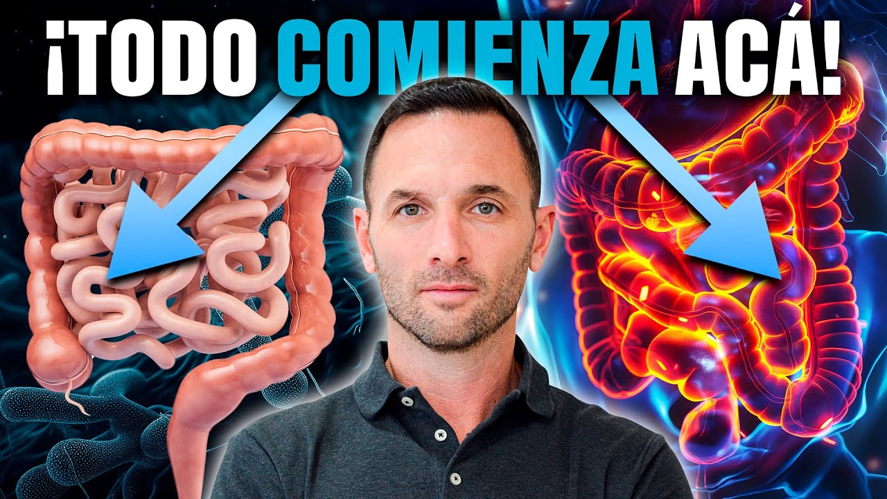 El INTESTINO es la Clave para SANAR tus Enfermedades