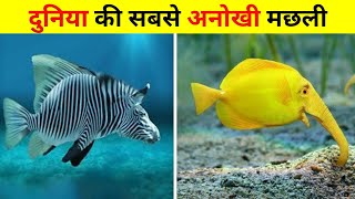 ऐसी अजीबोगरीब मछली जो करोड़ों में एक हैं | Most Unique Fish in the World | Secret Sach