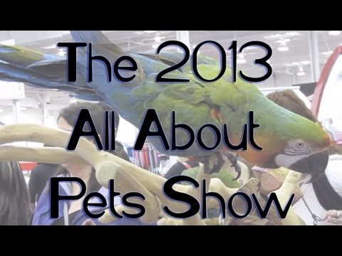 petting rabbits BudgetBunny: The 2013 All About Pets Show