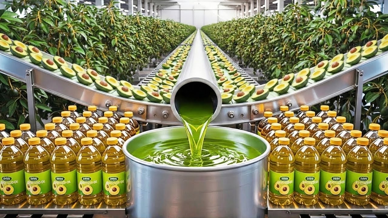 Inside an Avocado Oil Factory: From Fresh Avocados to Pure Oil (Full Process)