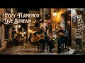 🇪🇸 Flamenco Accordion Street Music Live 24/7
